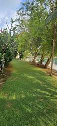 Cove Drive (D4), Detached #457031691